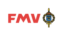 fmv